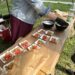 Person in a Denim Jacket Arranges Fruit Skewers of Watermelon and Green Grapes on Paper Liners at an Outdoor Picnic Table in a Park Park Setting 15 Czerwca 2020
