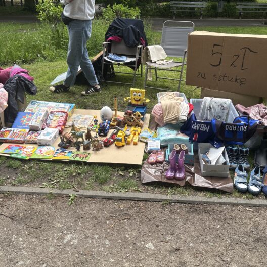 Outdoor Yard Sale Setup Blankets and Boxes on Grass Display Clothing Blankets Toys and Shoes with a Handwritten Price Sign Nearby 9 Września 2025